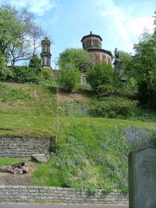 Bluebell Bank