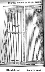 Canefield Layouts