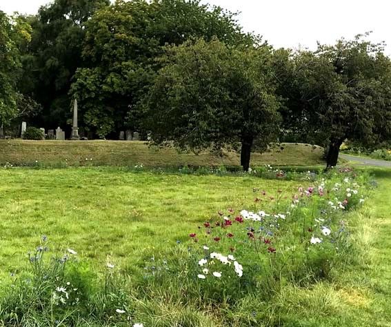 Eta Unmarked Graves Area -Wildflower Memorial