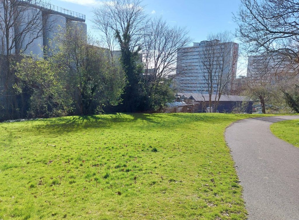 Location of Iota Wildflower Border