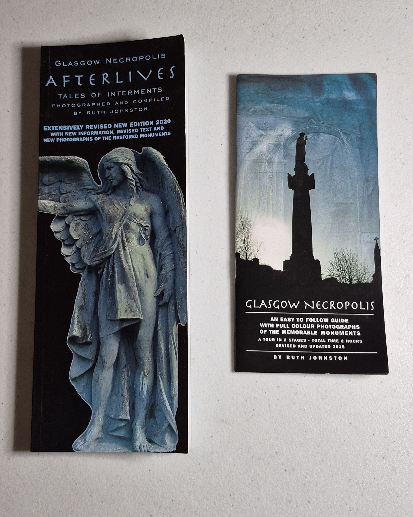 Afterlives, and An Easy to Follow Guide- both by Ruth Johnston
