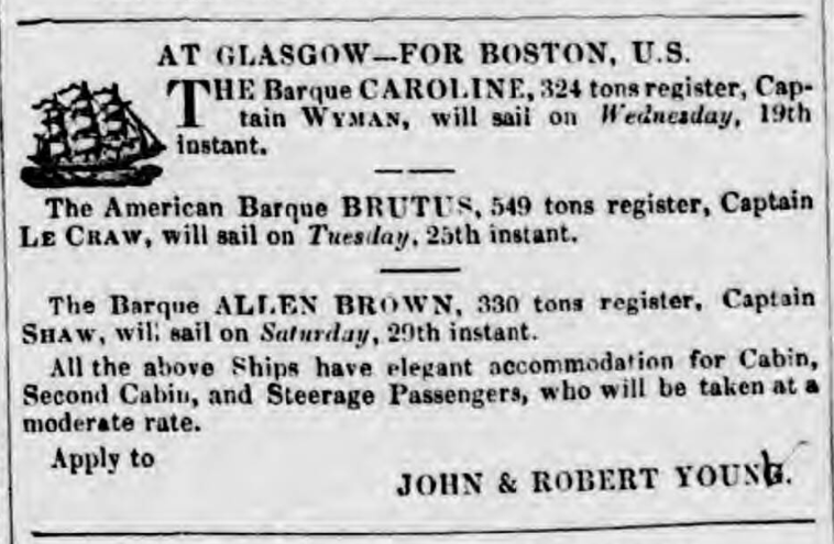 Brutus Advert